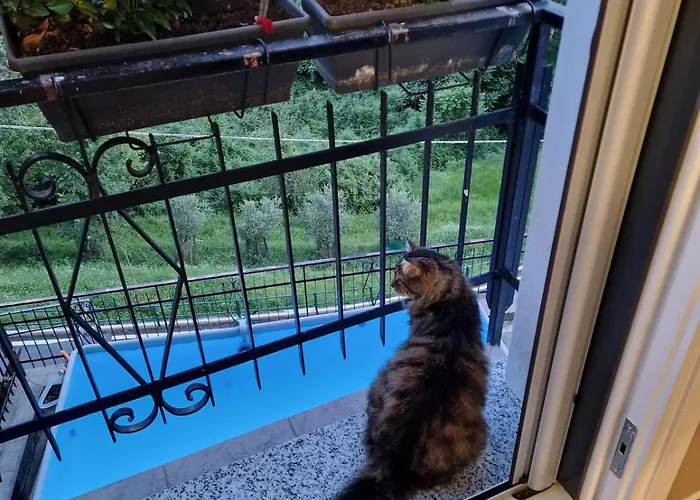 Lägenhet Panoramic View La Quiete