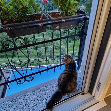 Appartement Panoramic View La Quiete