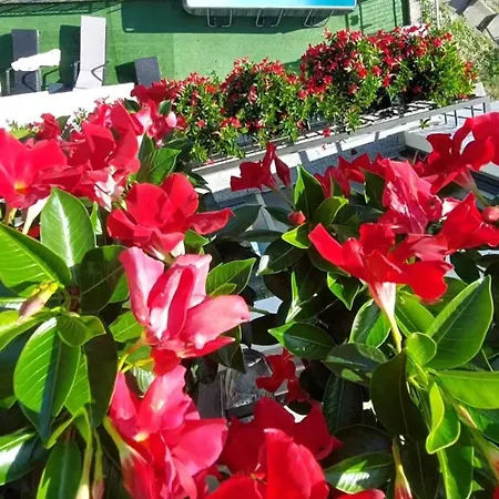 Panoramic View La Quiete Appartement